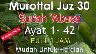 Download lagu Surat Abasa metode ummi | Murottal juz amma surat abasa  1-42 mp3