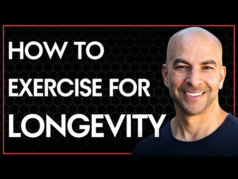 Zone 2 Training: The Most Important Exercise for Longevity