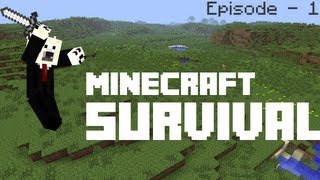 preview picture of video 'Survival Episode 2: Villages!'