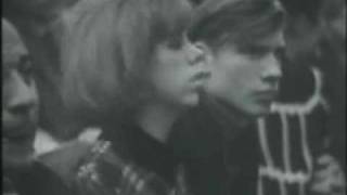 The Kinks -  Long Tall Shorty -  Live France -  1965