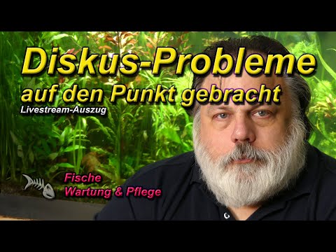 Diskus-Probleme auf den Punkt gebracht - Diskushaltung auf dem Prüfstand