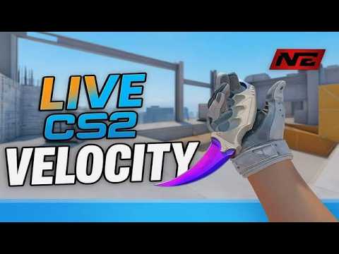 Gaming as a profession is the best.