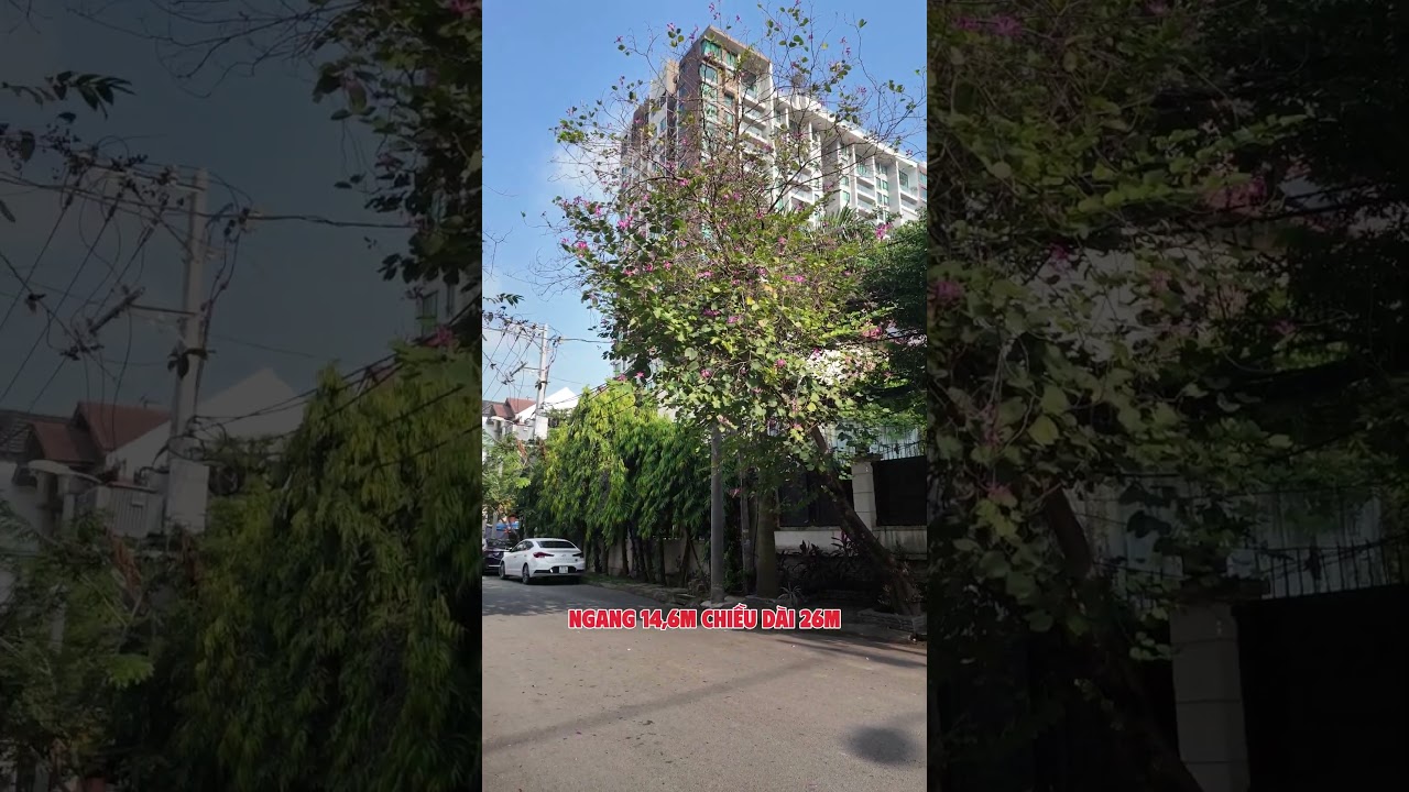 Ảnh đại diện Video