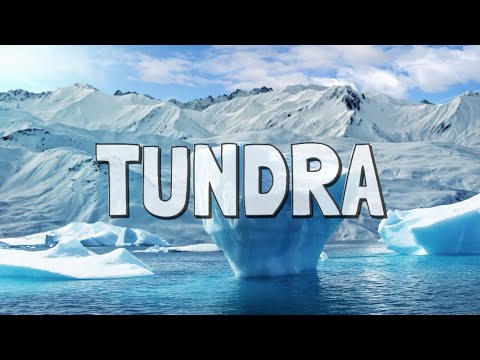 What Is the Tundra Biome?