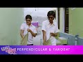 Perpendicular और Tangent की दोस्ती Gangs Of वासेपुर Part 2 Nawazud