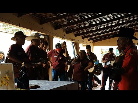 Folia de Santos Reis - Goianésia Goiás - 2025 - 2