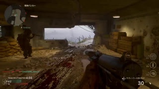 ツキヤのCODWW2ベータ版