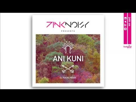 Pink Noisy - Ani Kuni (Dj Ravin Remix) - Official Audio Release