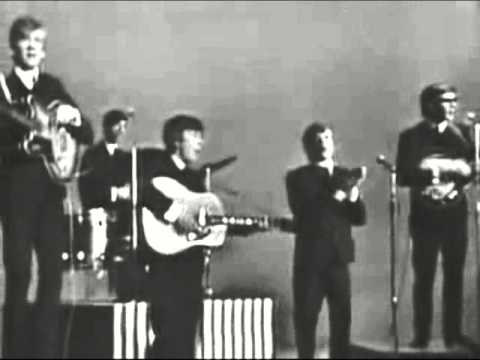 Hermans Hermits   I'm Into Something Good