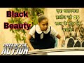 Colombiana Movie Explained In Hindi Urdu Actionthrillerfilm