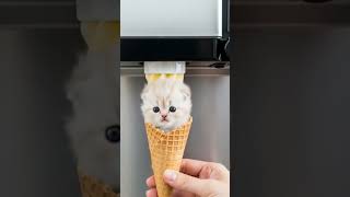 🍦 Ice Cream Cats 🐱 | ASMR Satisfying & Relaxing #shorts #cat #aiasmr
