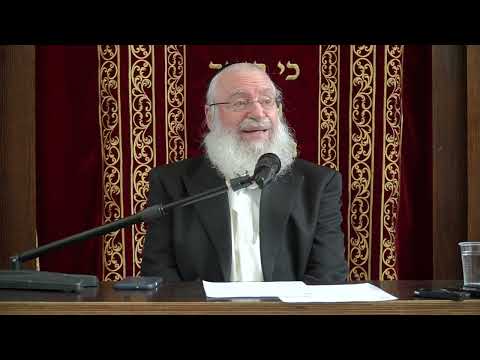 Short Thought on Parshas Ki Sisa | by Harav Asher Weiss Shlita | 5784