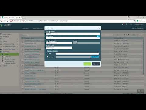 Versa Sd Wan Director Upgrade