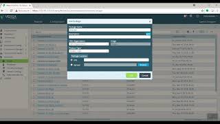 Versa SD-WAN _ Director Upgrade