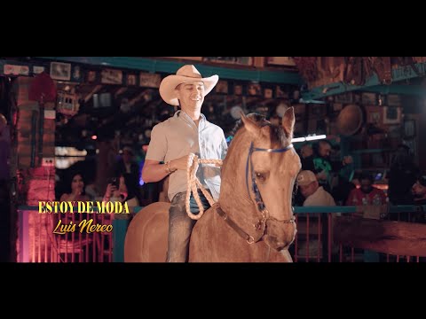 ESTOY DE MODA - LUIS NEREO (Video Oficial)