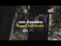 Pana Senehasa පනා සෙනෙහස Slowed And Reverb Slowedandreverb Youtube Trending Music