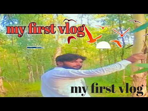 my first vlog 🙏 Zaigham vlog