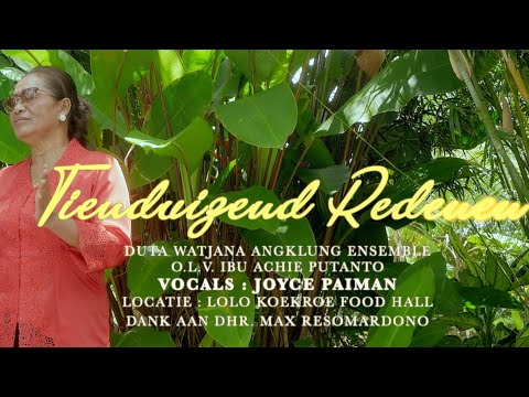 TIENDUIZEND REDENEN / DWAE - JOYCE