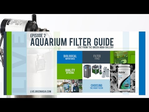 Episode 2: Aquarium Filter Guide