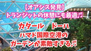 【オアシス】カタール ドーハ ハマド国際空港のザ・ガーデンが素敵すぎる♬建物好きも必見! ※中東情勢に気をつけて、最新情報をご確認ください!2025年5月撮影