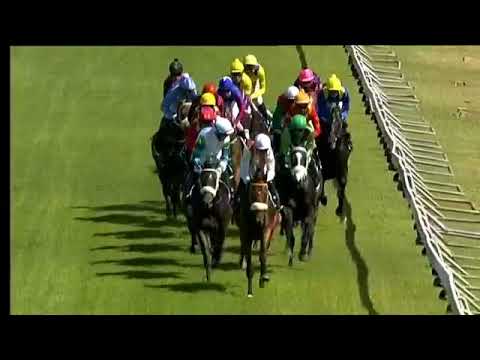 2018.01.27 Cape Derby (RSA) - Eyes Wide Open