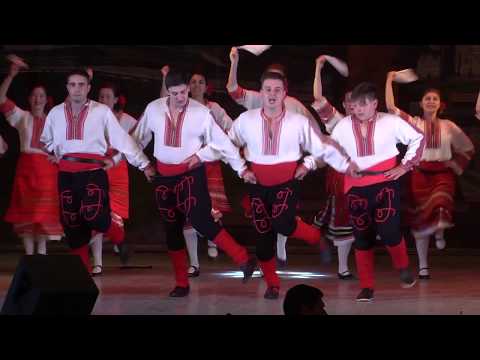 Лудо-Младо на КВН