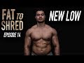 EP.14 FAT TO SHRED - BODY UPDATE , PRO-TIP, UPPER BODY TRAINING