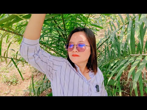 Rondo kempling || EPs 15 || film jowo 