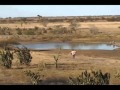 OS TRÊS CONSELHOS YouTube