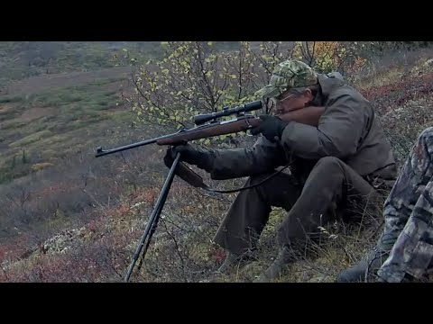 Hunting Alaska's Giant Moose