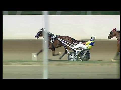 Napoli Trotto 06/08/2021 - 3ª corsa