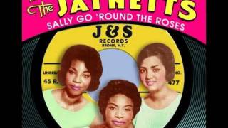 The Jaynetts &quot;Sally Go &#39;Round the Roses&quot; My Extended Version!