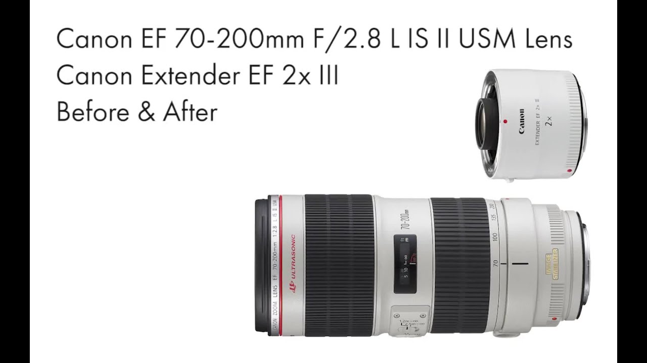 Телеконвертер Canon Extender EF 2x III 