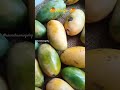 Meri Tarah Tum Bhi Kavi Shorts Ytshorts Bollywoodsongs Mangoking