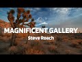 Steve Roach - Magnificent Gallery [ethnic atmospheric music]