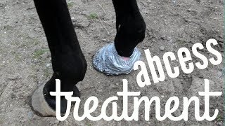 DIY HOOF POULTICE w/ Diapers and Duck Tape! | How to Treat an Abcess