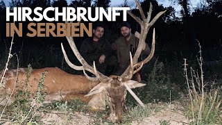 Hirschbrunft in Serbien I Jurassic Jelena 2 I JETZT ANSEHEN AUF HUNT ON DEMAND!