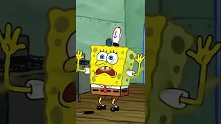 Bob Esponja | melhores momentos