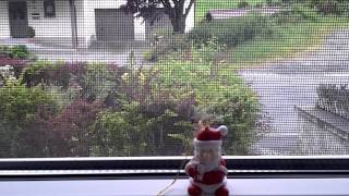 "Wade in the water Children" Sax with Eva Cassidy