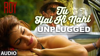 Tu Hai Ki Nahi (Unplugged) FULL AUDIO SONG  Roy  T