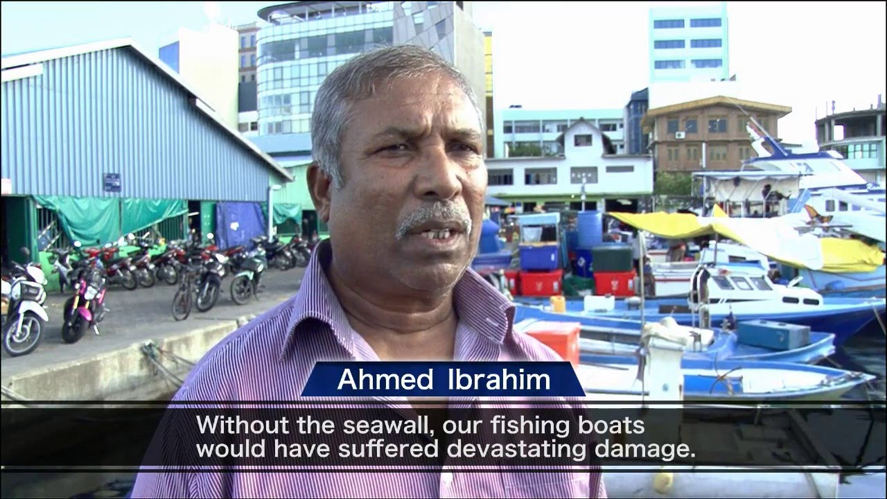 Japan’s Support for the Creation of a Disaster-Resilient World: Disaster Risk Reduction