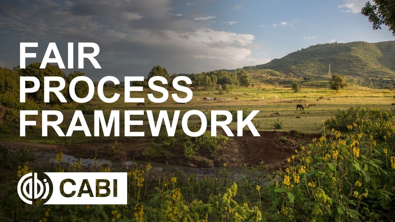 FAIR Process Framework