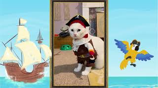 Life's 2 Short: Unhooked (Playdate) – Talk Like a Pirate Albus trailer teaser