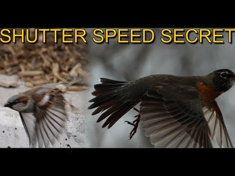 Does Shutter Speed Matter For Slow Motion?