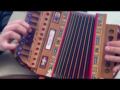 Tarantella calabrese solo organetto - modello Classic Fa# binci