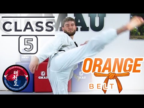 Taekwondo - Orange Belt - Class 5 thumbnail