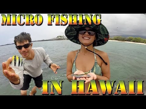 Micro fishing In Hawaii For Small Bait Fish - Aura and Danny D Bringing In the Fish - BODS 39
