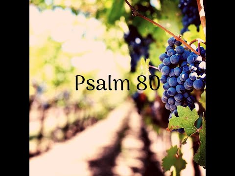Daniel Brânzei: Psalmul 80 - Ridică-ne, Doamne!