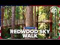 Redwood Sky Walk continues drawing visitors nationwide to Eureka