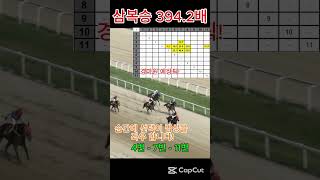 대박 394.2배 적중 예상  #경마 #경마예상 #AI예상 #Shorts #추천영상#부산경마#서울 마#제주경마